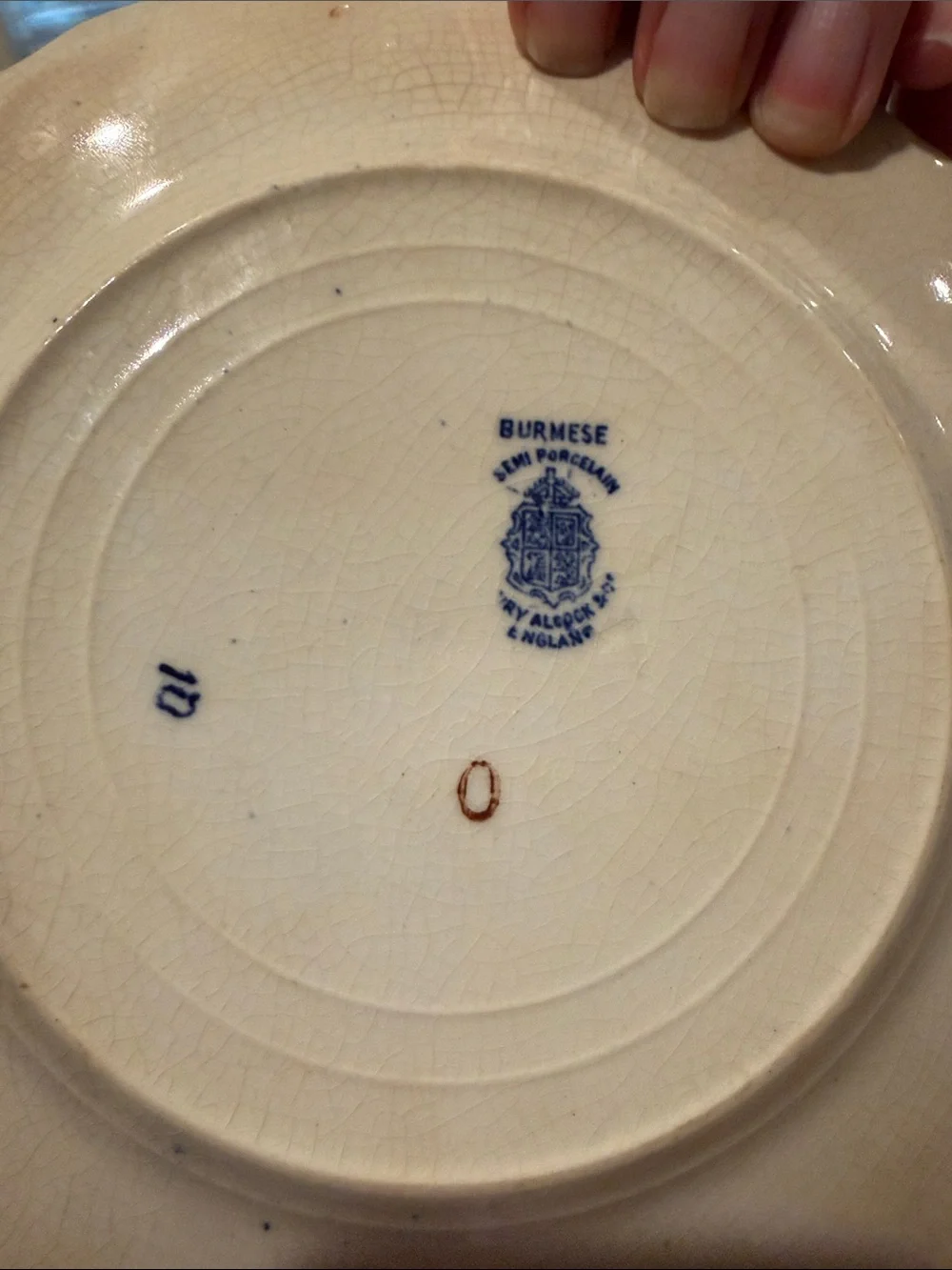 Burmese Semi Porcelain classic scalloped